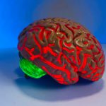 A lighted brain sculpture