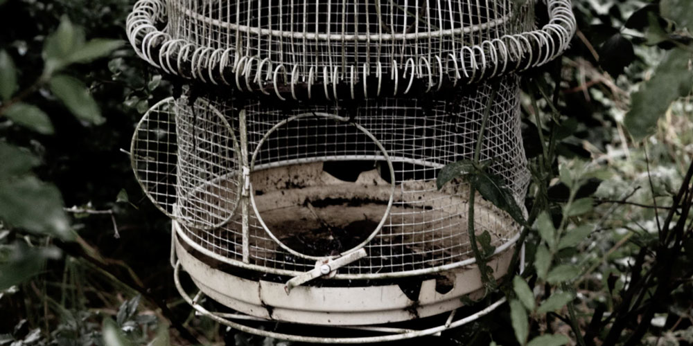 An open bird cage