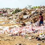 A boy rummages through trash at the dump