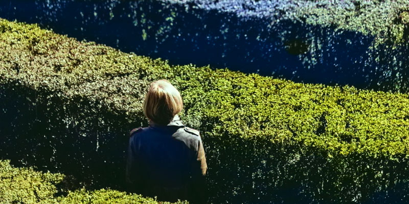 A woman in a hedge maze