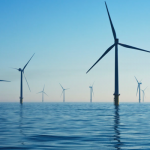 A wind farm at sea