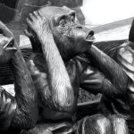 Monkey statues in see no evil, hear no evil, and speak no evil poses